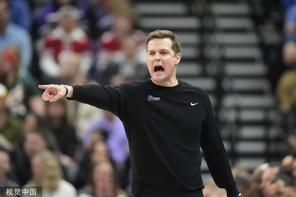 的背景下 的背景下